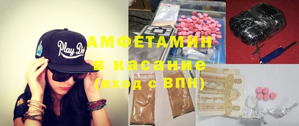 гидра Инта