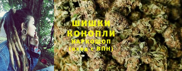 прущие грибы Иннополис