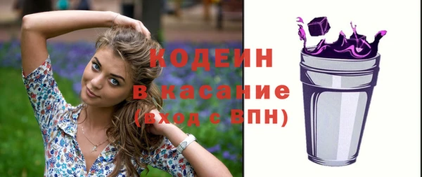 прущие грибы Иннополис