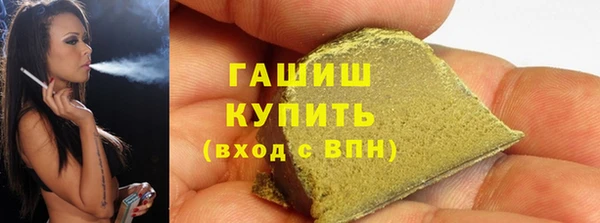 гидра Инта