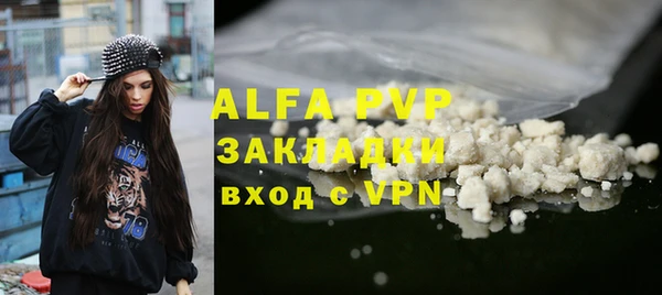 гидра Инта