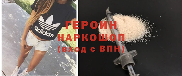 гидра Инта