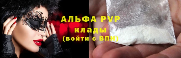 гидра Инта