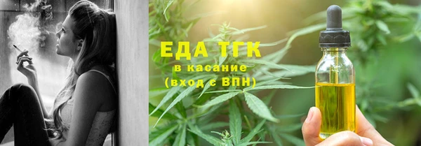 гидра Инта