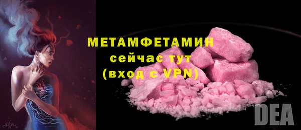 прущие грибы Инсар