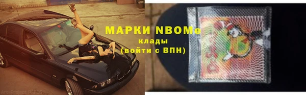 гидра Инта