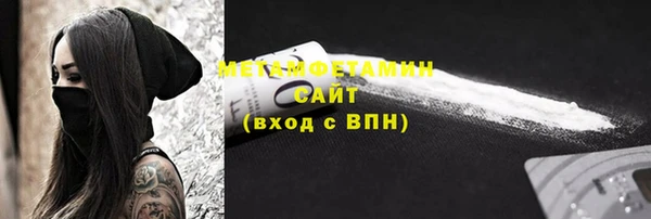 прущие грибы Инсар