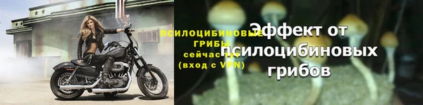 прущие грибы Инсар