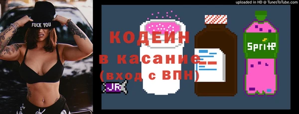 гидра Инта