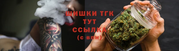прущие грибы Инсар