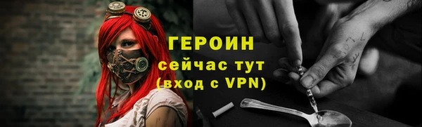гидра Инта
