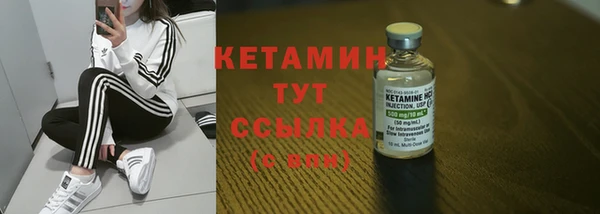 гидра Инта