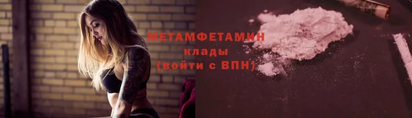 гидра Инта