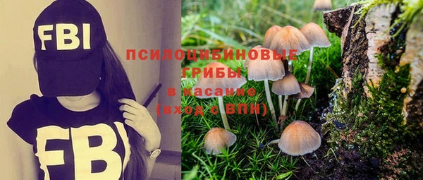 прущие грибы Иннополис