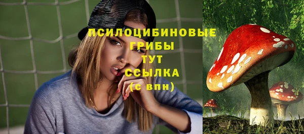 прущие грибы Иннополис