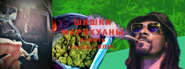 прущие грибы Инсар
