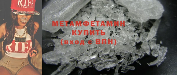 прущие грибы Иннополис