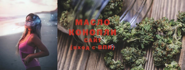 гидра Инта