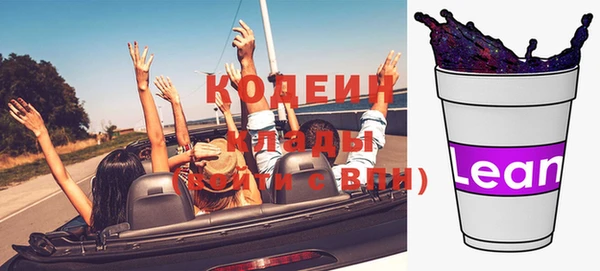 гидра Инта