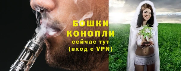 гидра Инта