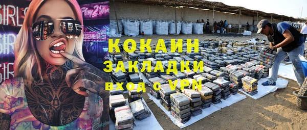 прущие грибы Иннополис
