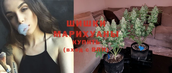 прущие грибы Инсар