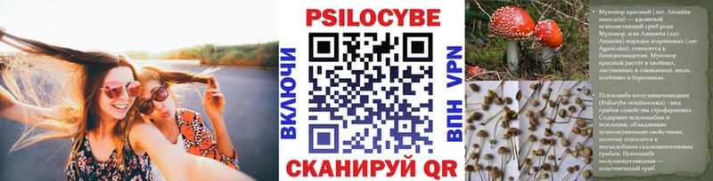 Псилоцибиновые грибы ЛСД Городовиковск